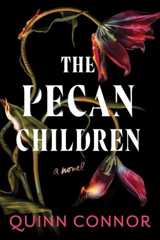 Image of cover from the book The Pecan Children by Quinn Connor