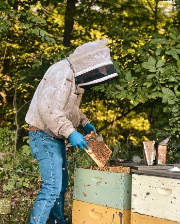 HudHoneyBeekeeping