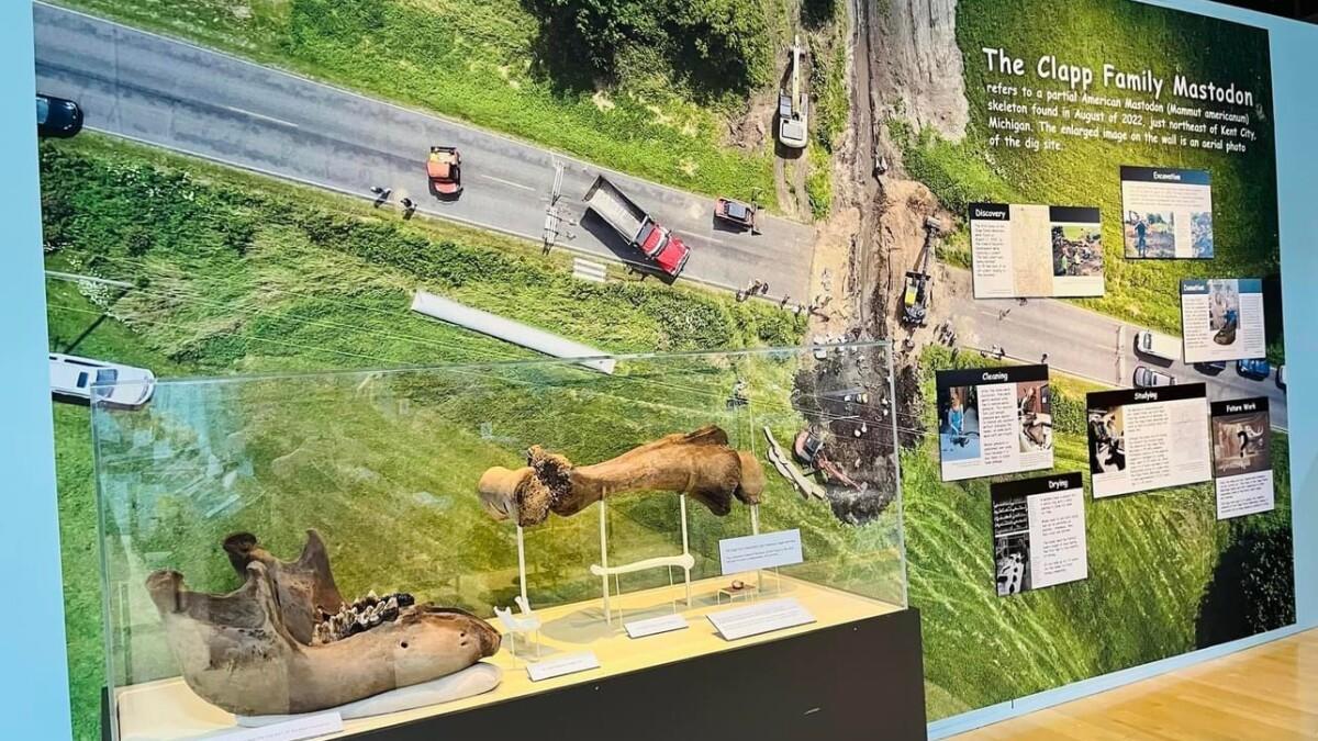 Photo of Clapp Family Mastodon exhibit at the Grand Rapids Public Museum